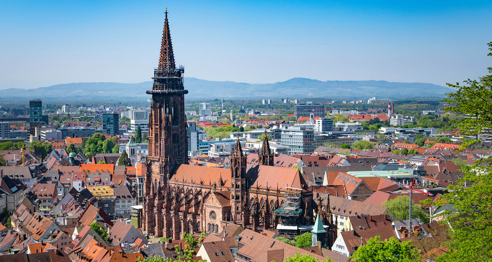 Top Event - Freiburg Kultour: Gässle, Bächle und das Münster